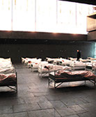 23 performer have been sleeping from 3 p.m. to 7 p.m. 23 freiwillige Performerinnen/Performer schlafen 4 Stunden lang bei der "1. Ruhrbiennale".